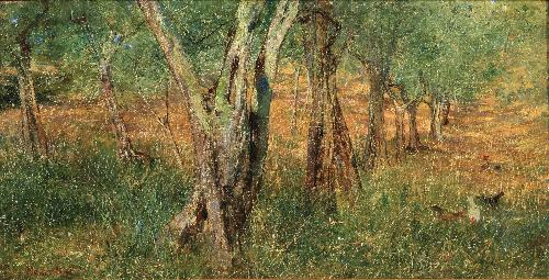 Filari di olivi - 1886